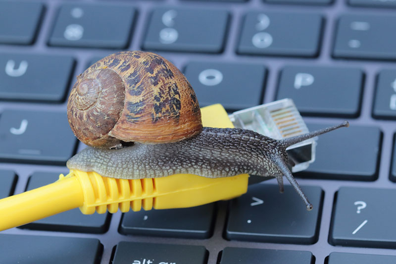 A snail crawls on a yellow network cable on a computer keyboard as a metaphor for high latency, slow broadband speed, slow internet, poor network infrastructure, and slow fibre speeds.